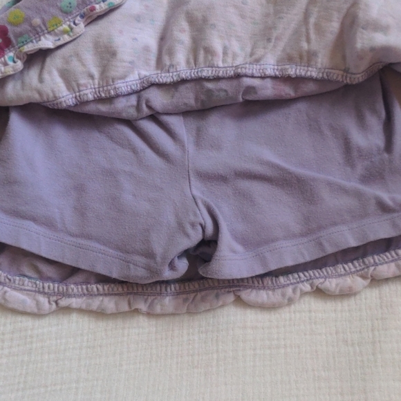 Carter's/Gymboree Skirts Bundle - Picture 5 of 12